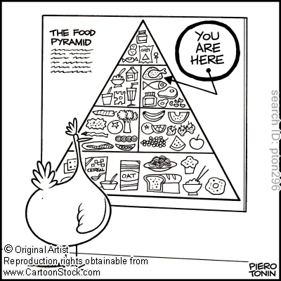 Food Piramid